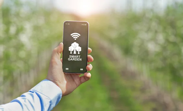 Agricultores mão usando telefone celular com o aplicativo SMART GARDEN na tela, monitorando o crescimento da planta, coletando dados para pesquisa — Fotografia de Stock