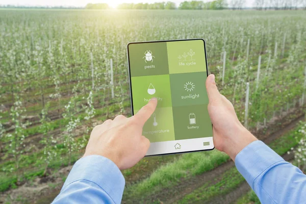 Un giardino intelligente. Agrotecnico che utilizza touch pad per controllare le opzioni di coltivazione del raccolto, controllare l'umidità, il ciclo di vita. Collage — Foto Stock