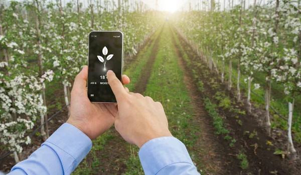 Agricultura inteligente com IOT. Agricultor usando aplicativo de celular para monitorar a umidade, temperatura e ph do solo no jardim de frutas — Fotografia de Stock