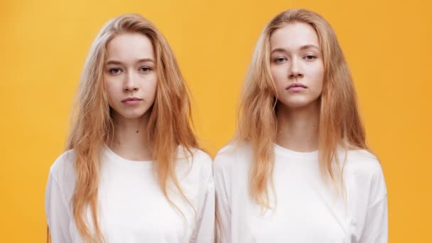 Retrato de dos hermanas gemelas mirando a la cámara, posando sobre fondo naranja — Vídeos de Stock