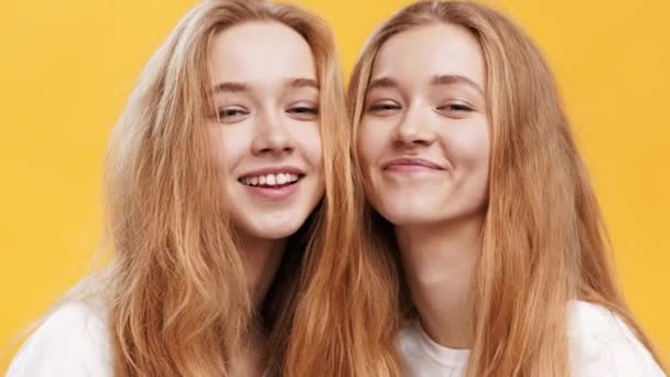 Молодость и счастье. Крупный план портрет двух веселых рыжих сестер-близнецов, смеющихся в камеру, оранжевый фон — стоковое видео