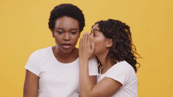 Gossip femminili. Giovane donna afroamericana sussurrando pettegolezzi o dicendo informazioni sicure al suo amico scioccato — Video Stock
