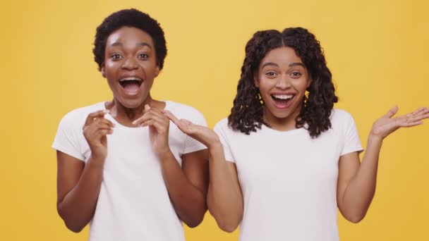 Estudio retrato de dos mujeres afroamericanas excitadas aplaudiendo de la mano y riendo, fondo naranja — Vídeo de stock
