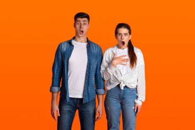 Şok edici bir teklif, harika haberler, reklamlar ve insani duygular.