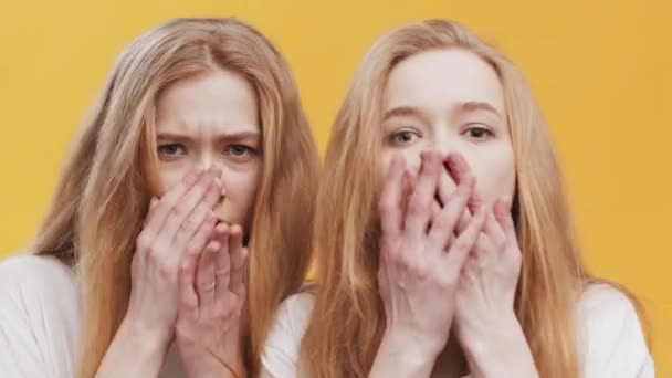 Reacção de choque. Dois ruiva irmã gêmea sentindo-se espantado e atordoado, cobrindo suas bocas, fundo laranja — Vídeo de Stock