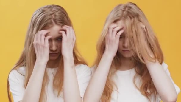 Juventud y belleza. Dos hermanas gemelas jóvenes arreglando su cabello simultáneamente, mostrando caras y mirando a la cámara — Vídeos de Stock