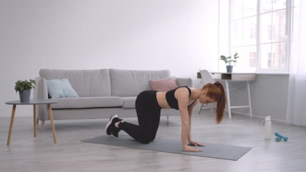 Lady Cvičení stojící na všech čtyřech Zvedání ruky a nohou uvnitř — Stock video