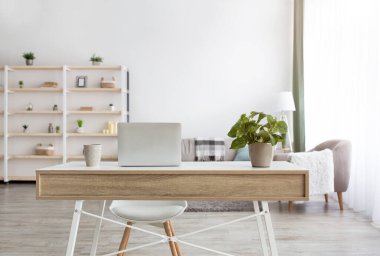 Ev yöneticisi, serbest çalışan ve uzaktan çalışan biri.