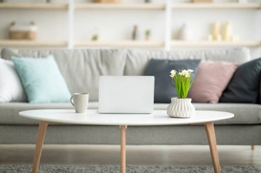 İskandinav tarzı ev, konfor ve konfor uzak iş için daire