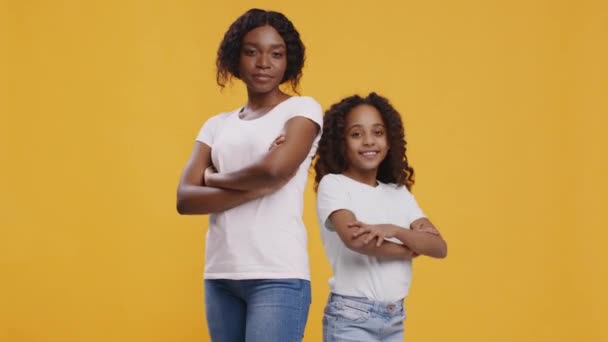 Mère et fille afro-américaine posant les mains croisées, se regardant et hochant la tête en accord — Video