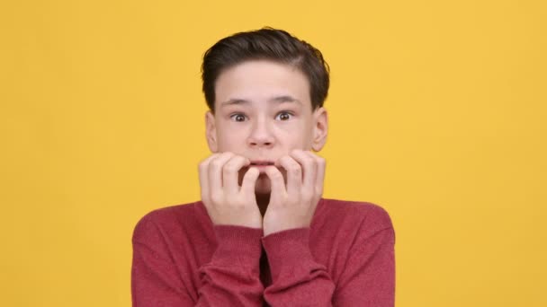 Spaventato teen ragazzo scuotendo da paura posa su giallo sfondo — Video Stock