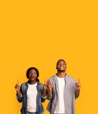 Harika bir teklif. Şaşırmış siyah çift şaşkınlıkla bakıyor ve işaret ediyor.