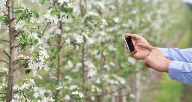 Tarım yönetimi, veri toplama ve akıllı teknoloji