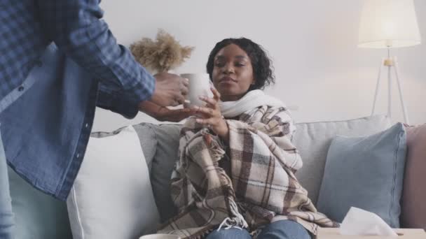 Jonge Afro-Amerikaanse dame gewikkeld in ruitvormige zitbank, haar man geeft haar genezende hete thee, slow motion — Stockvideo