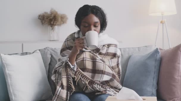Bebidas médicas. Jovem senhora negra doente que sofre de febre, beber chá de cura, sentado no sofá em casa — Vídeo de Stock