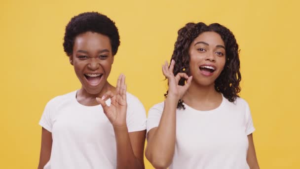 Todo muy bien. Dos mujeres afroamericanas jóvenes mostrando gesto OK y riendo a la cámara, fondo naranja — Vídeo de stock