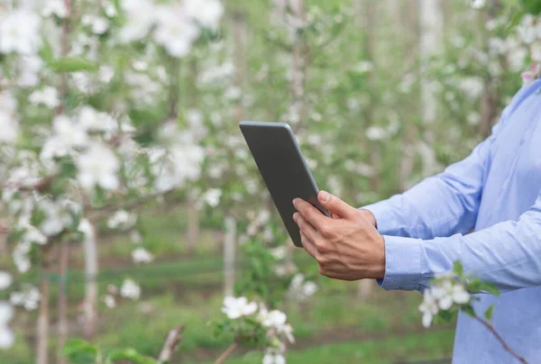 Blogger, propietario, jardinero o agricultor trabaja con el dispositivo en el jardín floreciente — Foto de Stock