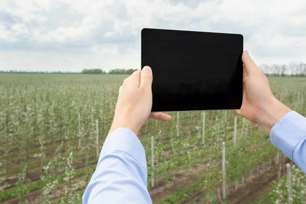 Agricultura inteligente y tecnología moderna y móvil en la agricultura — Foto de Stock