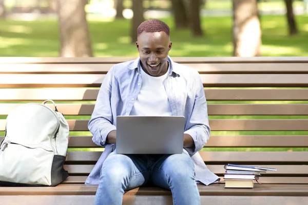 Estudante negro animado olhando para a tela do laptop, não pode acreditar em seu sucesso no parque — Fotografia de Stock