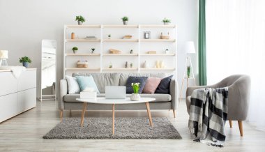 Yastıklı gri kanepe, yumuşak battaniyeli koltuk, dizüstü bilgisayar, peçeteler ve masada saksı bitkisi.