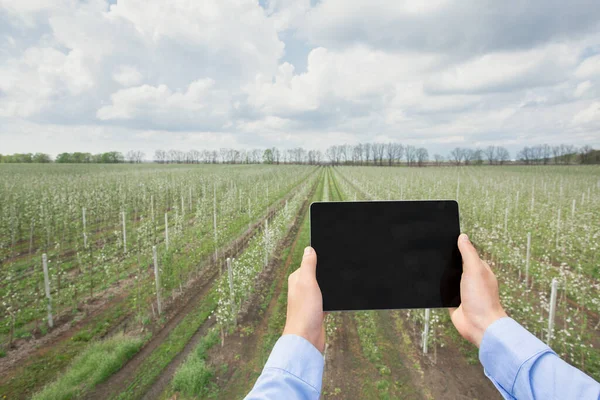 Crecimiento moderno y cultivo en huerta, agricultura inteligente y control digital — Foto de Stock