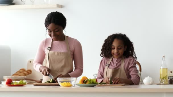 Cute little african american girl cooking with her mom, cutting fresh organic cucumbers at kitchen for vegetable salad — Stock Video