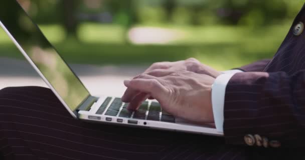 Trabajo independiente en cualquier lugar. Primer plano de manos de hombre de negocios escribiendo en el teclado del ordenador portátil, trabajando en el parque de verano — Vídeo de stock