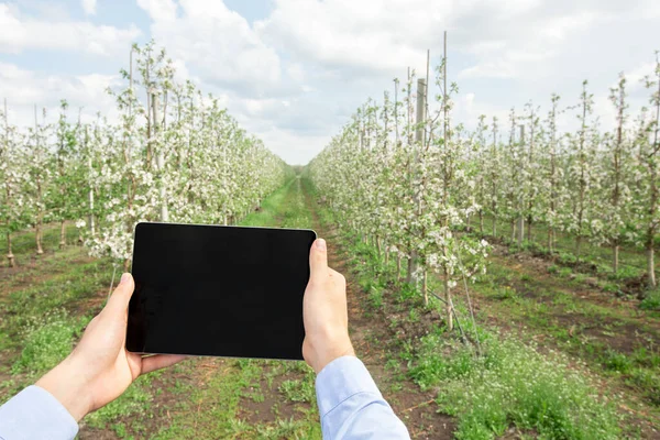 Blog ecológico moderno, granja inteligente, gestión de la agricultura y aplicación para el control del jardín — Foto de Stock