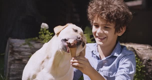 Close up ritratto all'aperto di felice teen boy che alimenta il suo cane con gelato, riposo nel parco estivo, rallentatore — Video Stock