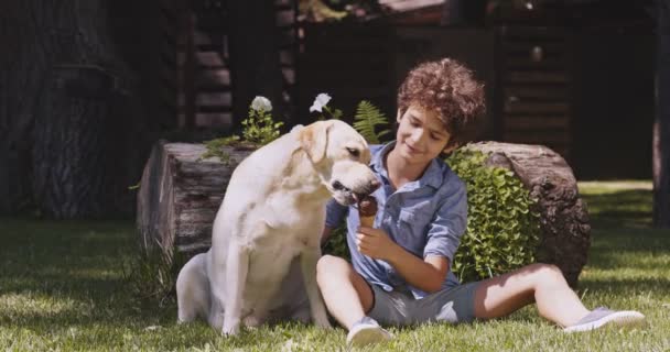 Niedlicher Lockenkopf füttert Labrador-Hund mit Schokoladeneis, sitzt zusammen auf Gras im Sommerpark, Zeitlupe — Stockvideo