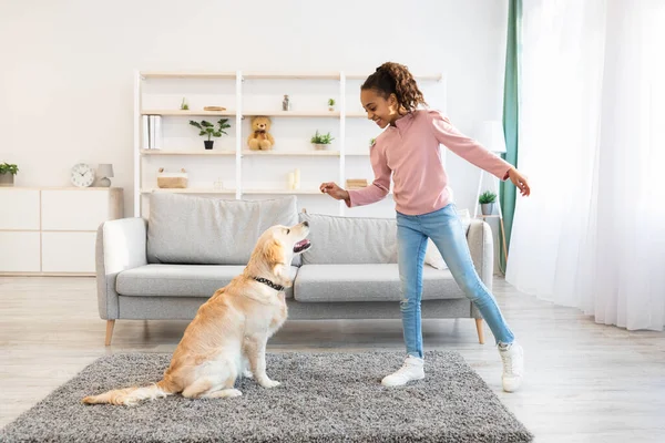 Black girl training and giving treat to her obedient dog — Stock Photo, Image
