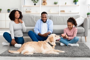 Hayvan alerjisi. Üzgün siyah aile tenlerini kaşıyorlar.