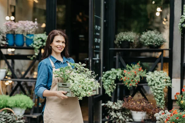 Lavoro di giardiniere, designer e venditore in moderno studio di fiori all'aperto — Foto Stock