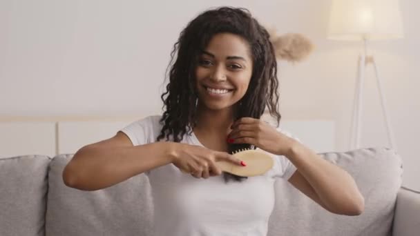 Jeune femme africaine américaine positive peignant ses cheveux bouclés et souriant à la caméra, assise sur le canapé à la maison — Video