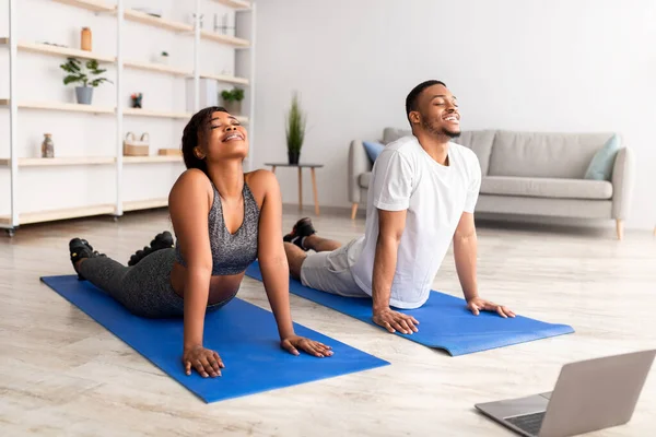 Athletic black couple doing cobra pose on yoga mats indoors, full length