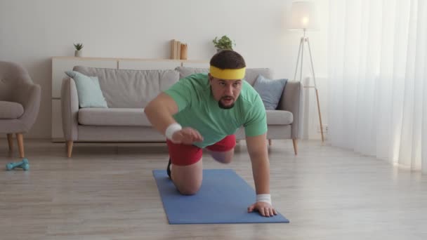 Grappig gefocuste man met overgewicht die op handen en voeten staat en zijn been en hand optilt, fitnesstraining thuis, tracking shot — Stockvideo
