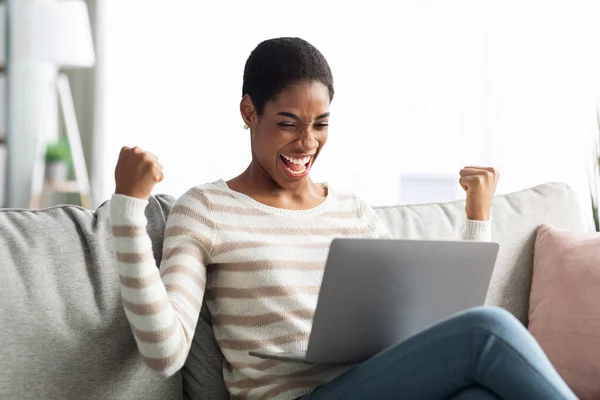 Чрезвычайно радостная черная женщина празднует успех с ноутбуком дома — стоковое фото