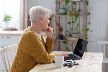 Yaşlı bayanın boş ekranlı dizüstü bilgisayar kullanışının yan görüntüsü