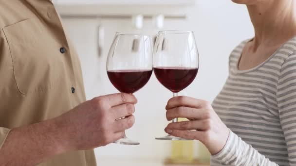 Unrecognizable Spouses Drinking Red Wine And Clinking Glasses Indoors, Cropped — Stock Video