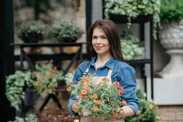 Sprzedaż roślin w sklepie w stylu rustykalnym i studio, ogrodnictwo i sezonowe kwitnienie — Zdjęcie stockowe