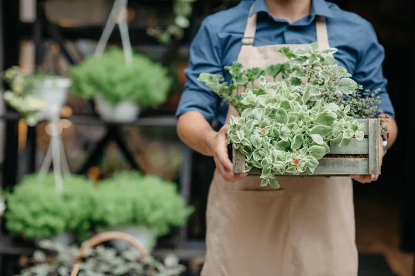 Covid-19, buquês de pedidos on-line e trabalho de florista na loja de flores — Fotografia de Stock