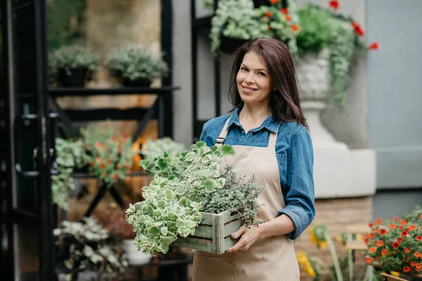 Bella donna fiorista mostra piante fresche in studio di fiori — Foto Stock