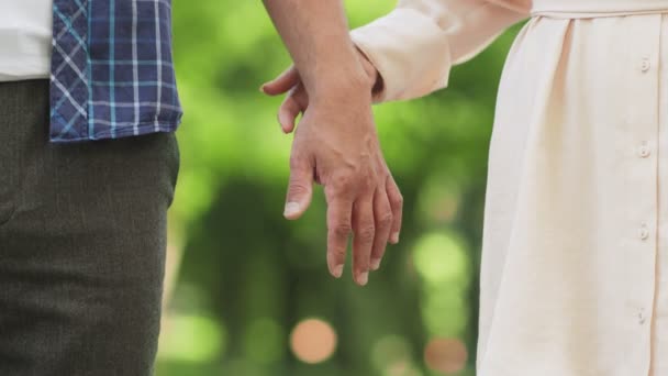 사랑하는 쿠카 시안 남녀가 손을 잡고, 야외에서의 단결 과 마음의 연결을 표현, 가까이 서 찍은 사진 — 비디오