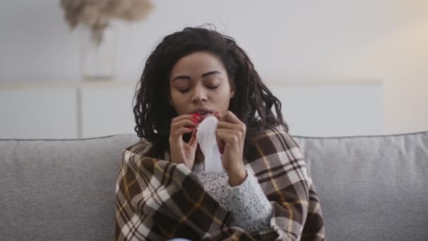 Mujer afroamericana enferma joven estornudando, sentada envuelta en cuadros y midiendo la temperatura, sintiendo fiebre en casa — Vídeo de stock