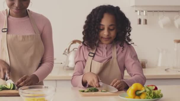 Щаслива афріканська мати й дочка ріжуть огірки на салат, а дівчинка годує жінку свіжим шматочком. — стокове відео