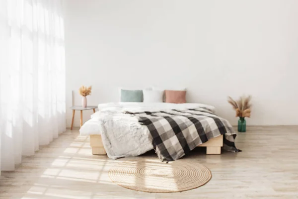 Contemporânea boho design em minimalista. Cama com travesseiros e cobertor, mesa com plantas secas em vasos — Fotografia de Stock