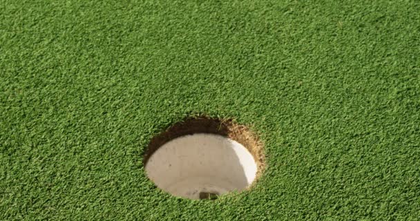 Крупним планом білий м'яч для гольфу падає в дірку на зеленому лузі в заміському гольф-клубі — стокове відео