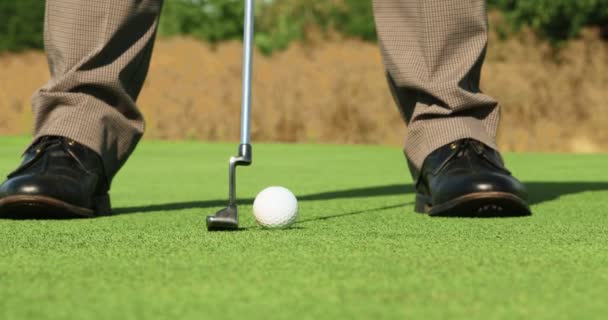 Професійний гравець у гольф. Невпізнаваний чоловік грає в гольф, потрапляє в м'яч на відстані з гольф-клубом в літній день — стокове відео