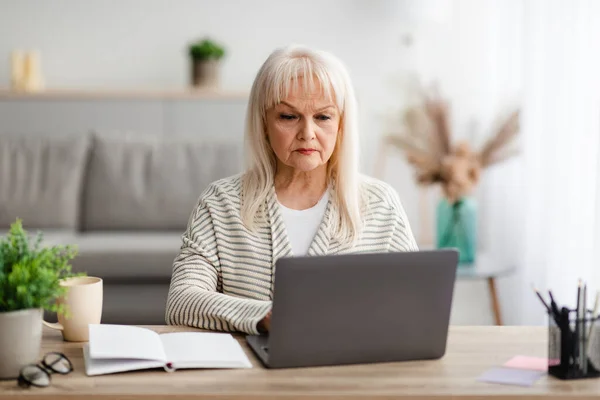 Focalizzato donna matura seduta ot scrivania e lavorare sul computer — Foto Stock