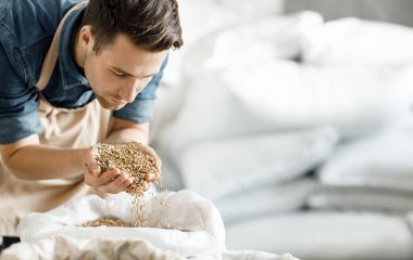 Modern bira fabrikası ve fabrika işi, bira üretimi için tahıl kalite denetimi